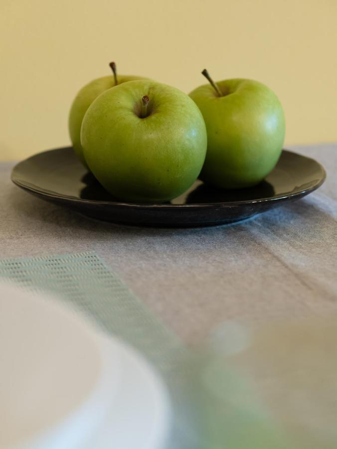 Green Apple Apartment Subotica Exteriér fotografie